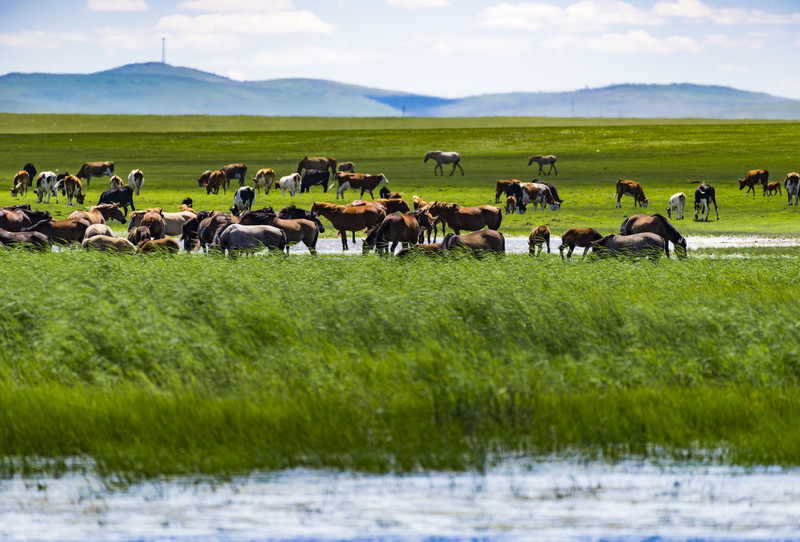 内蒙古,领导关怀下的友谊盛典