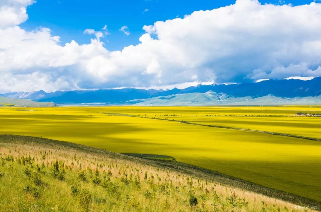 青海智汇,引领未来生活新篇章的青海高科技探索之旅