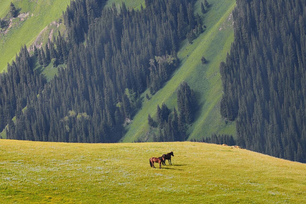 探寻新疆,神秘瑰宝的土地之美
