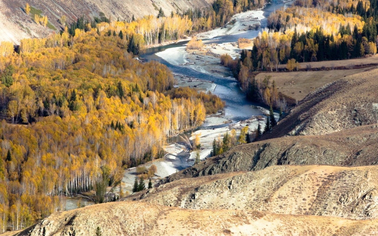 探寻新疆,神秘瑰宝的土地之美